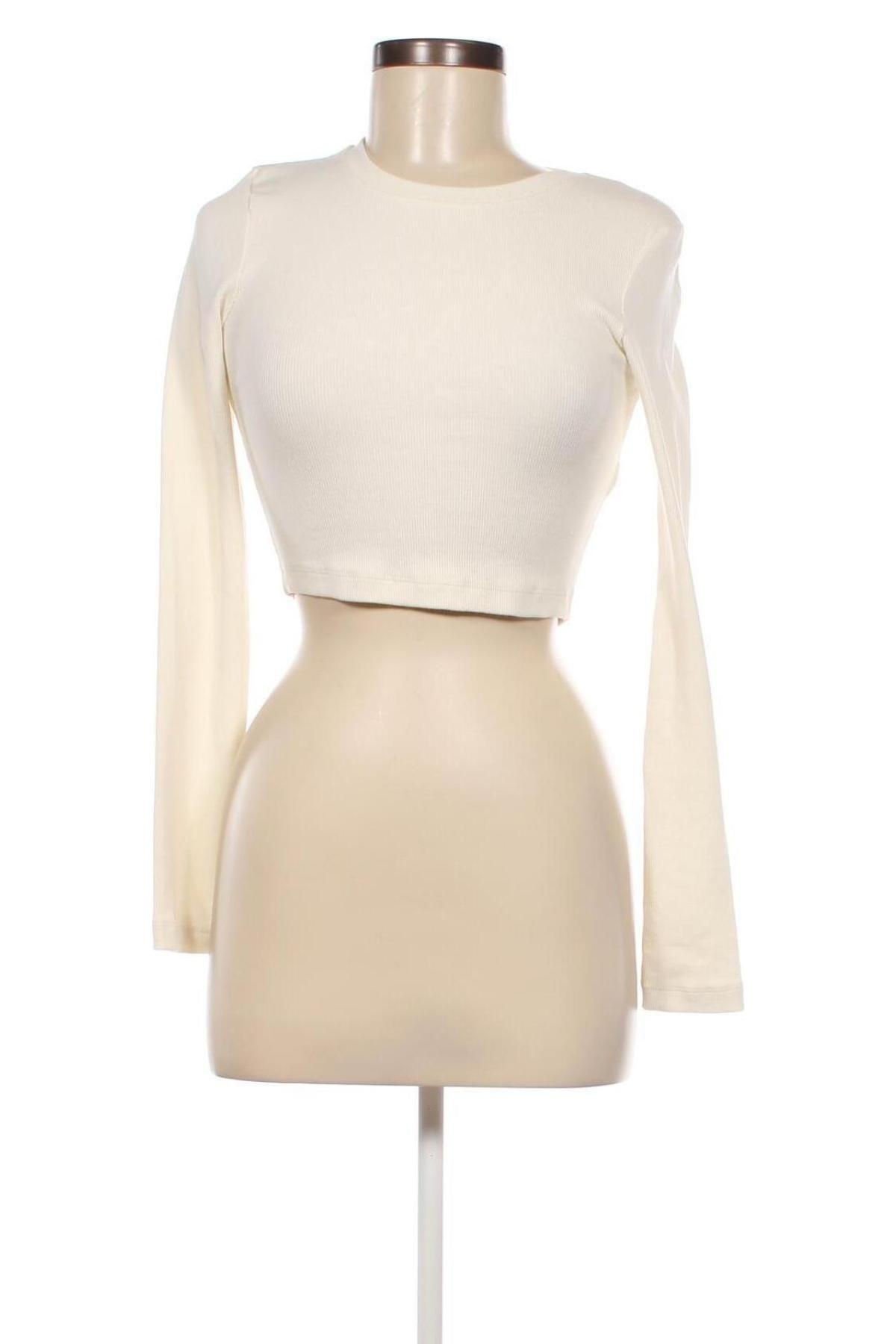 Damen Shirt Edited, Größe M, Farbe Beige, Preis € 3,79