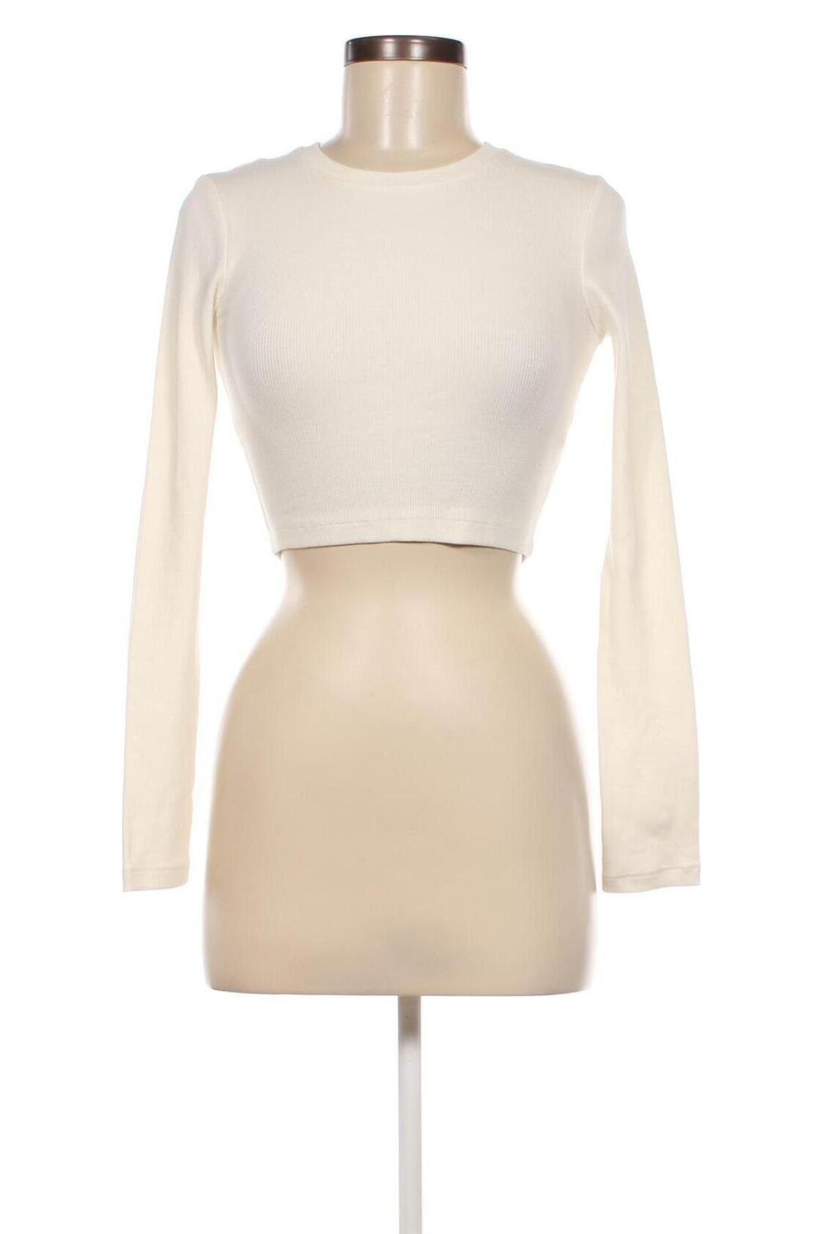 Damen Shirt Edited, Größe S, Farbe Beige, Preis 7,94 €