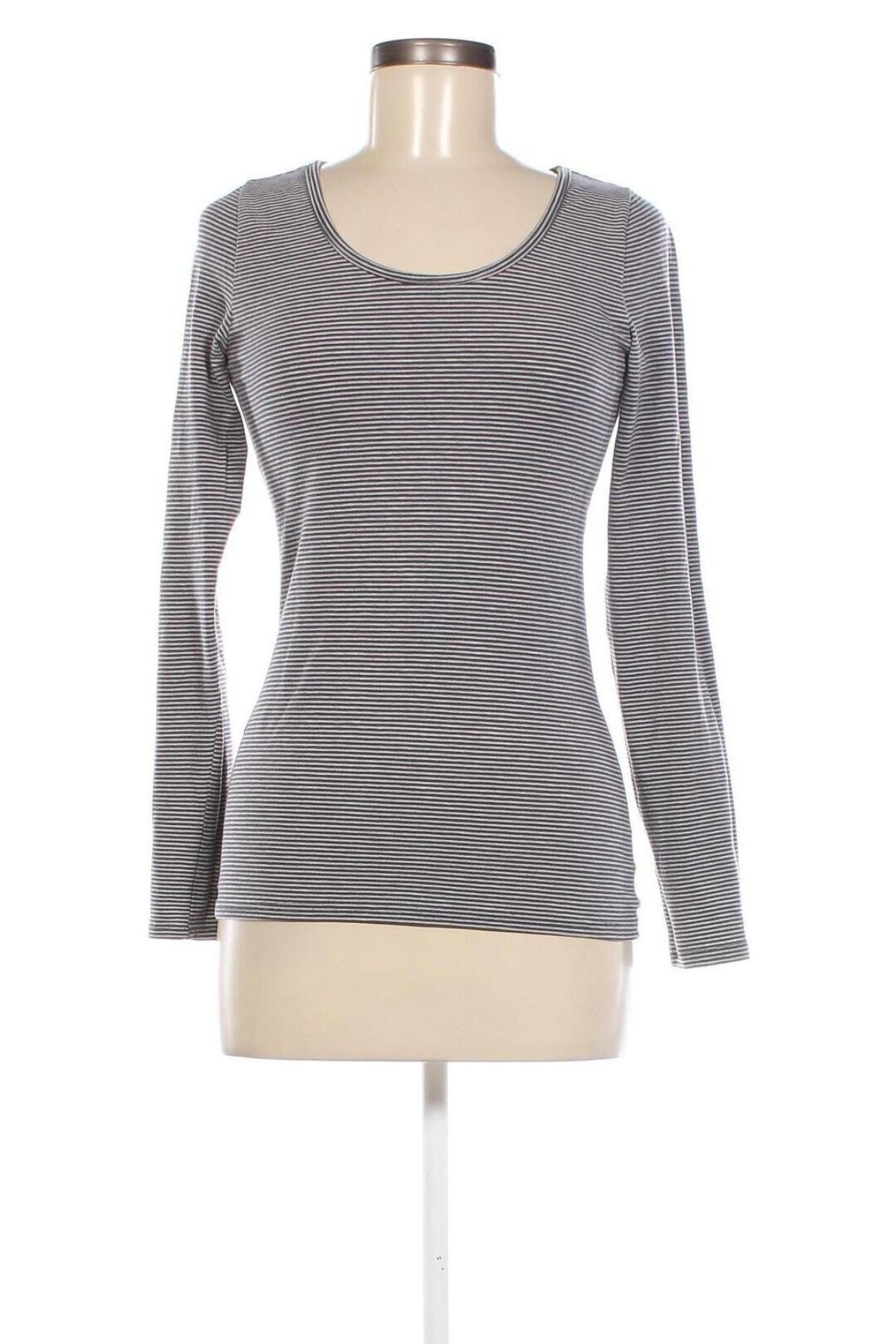 Γυναικεία μπλούζα Fishbone, Μέγεθος M, Χρώμα Πολύχρωμο, Τιμή 5,10 €
