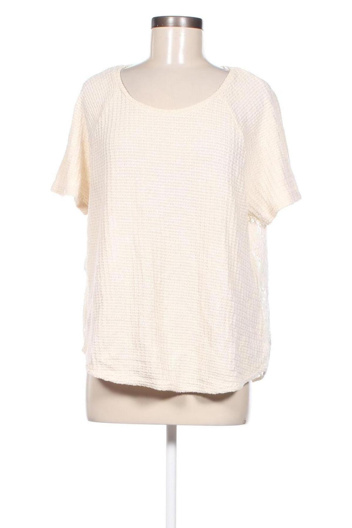 Γυναικεία μπλούζα Next, Μέγεθος XL, Χρώμα Εκρού, Τιμή 10,96 €