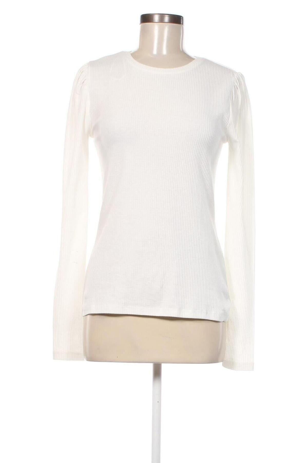 Damen Shirt Pieces, Größe L, Farbe Weiß, Preis 7,11 €