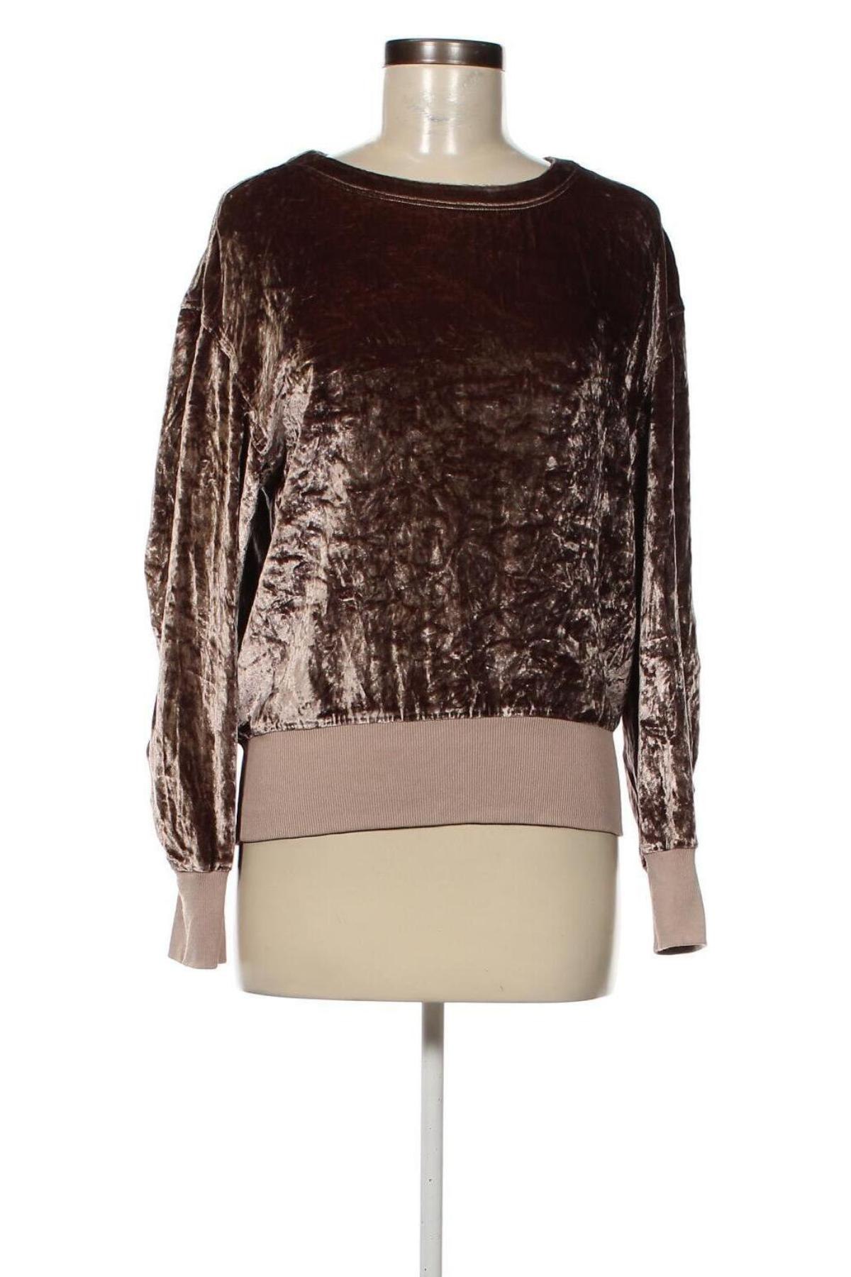 Damen Shirt Rag & Bone, Größe S, Farbe Beige, Preis 81,31 €