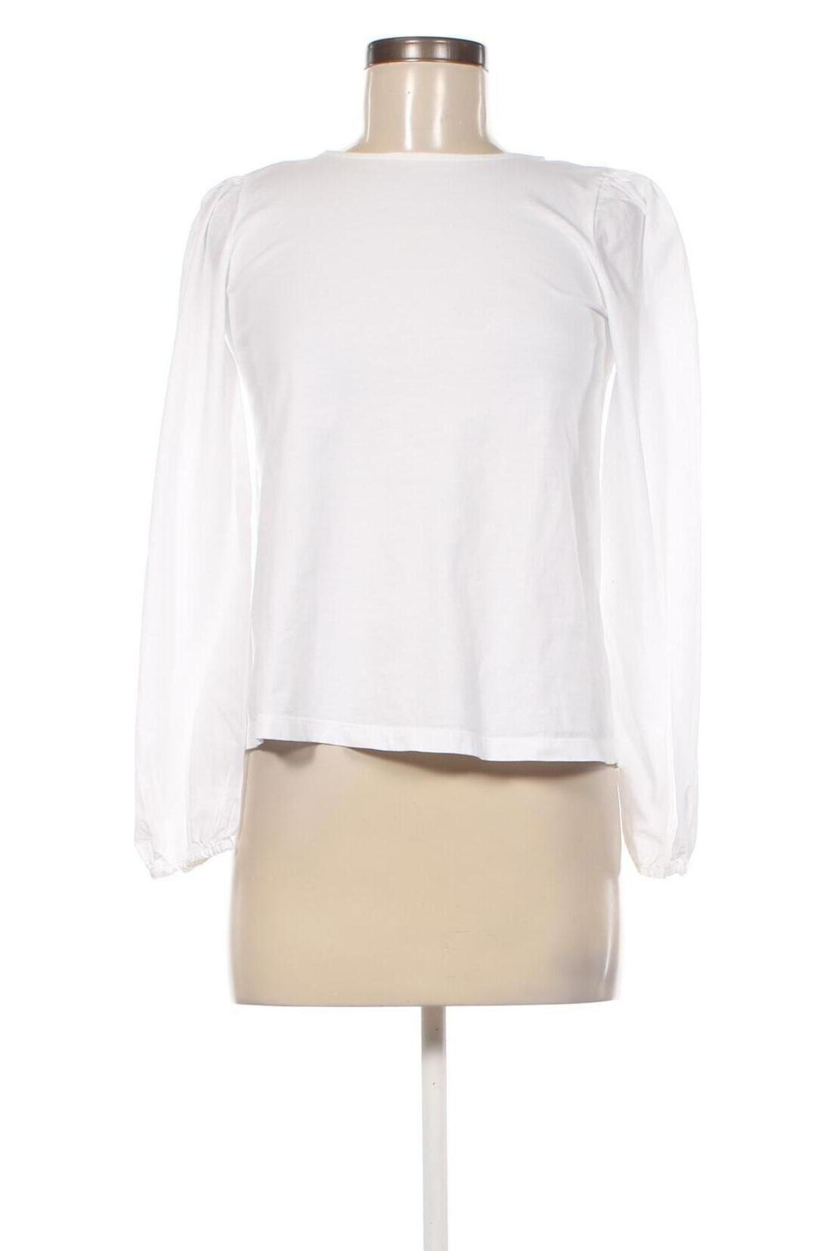 Damen Shirt Rich & Royal, Größe XS, Farbe Weiß, Preis 30,62 €