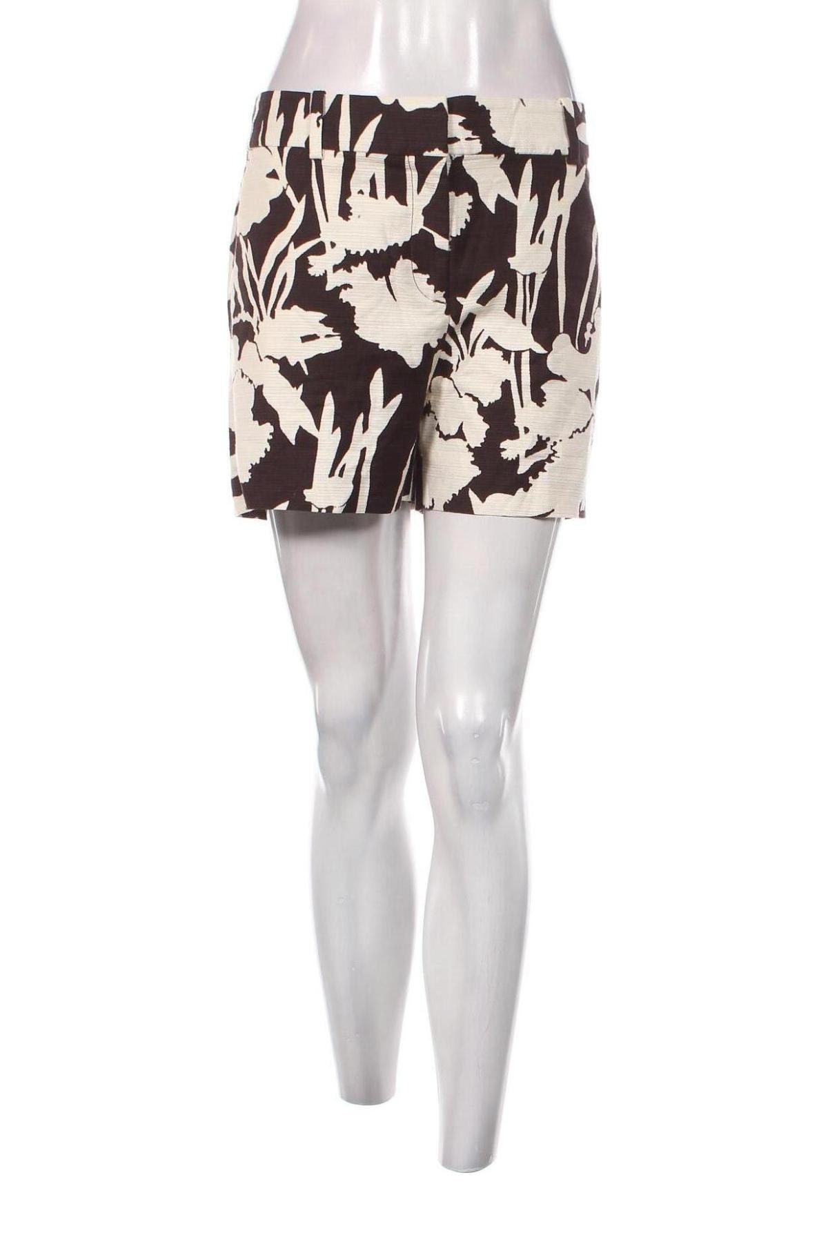 Γυναικείο κοντό παντελόνι Ann Taylor, Μέγεθος XL, Χρώμα Πολύχρωμο, Τιμή 29,69 €