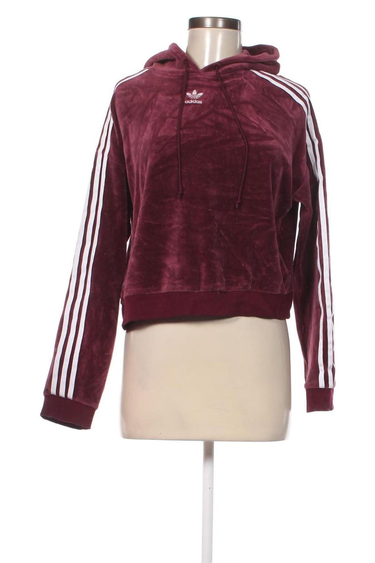 Damen Sweatshirt Adidas Originals, Größe XS, Farbe Lila, Preis 31,73 €