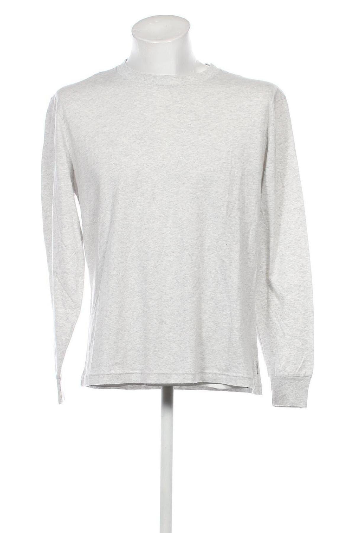 Ανδρική μπλούζα Hollister, Μέγεθος M, Χρώμα Γκρί, Τιμή 15,98 €