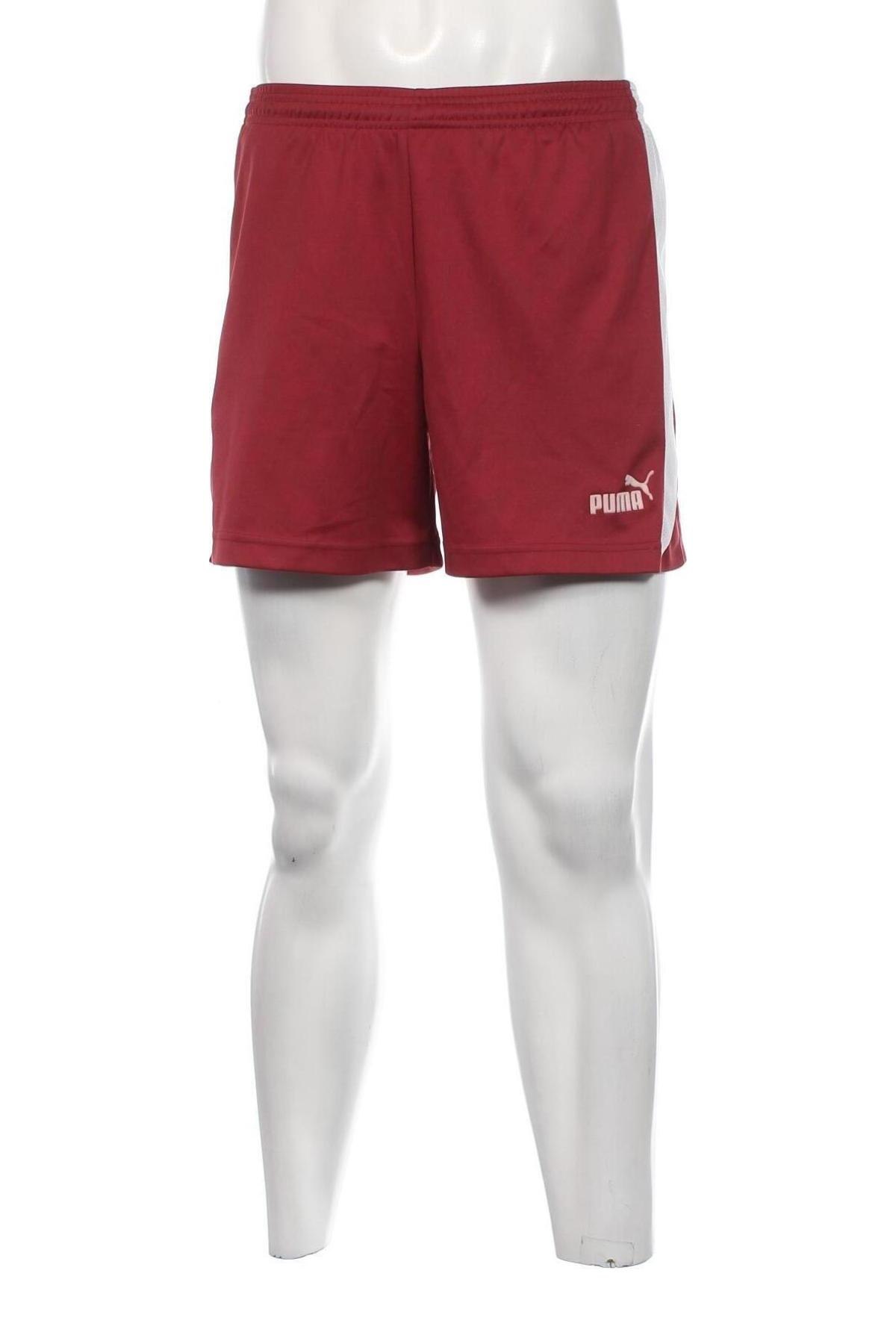 Herren Shorts PUMA, Größe M, Farbe Rot, Preis 18,93 €