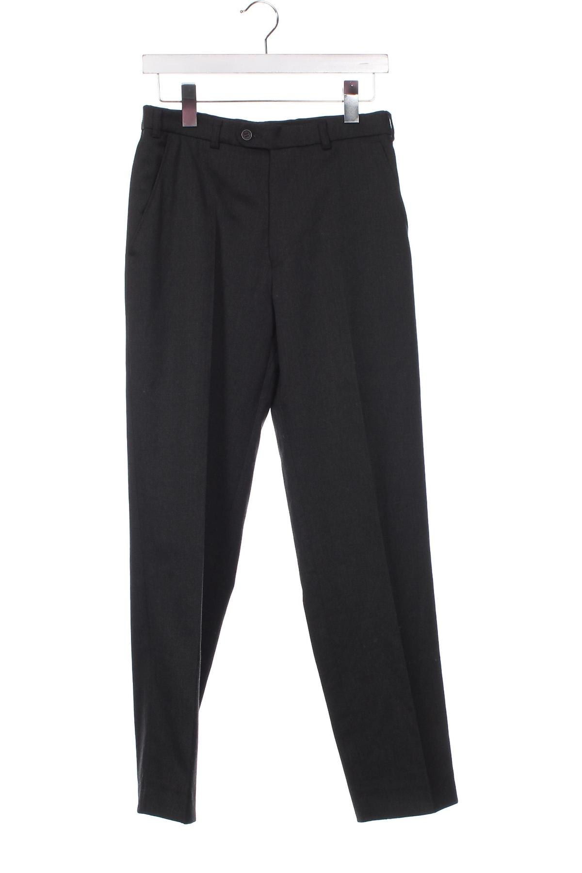 Ανδρικό παντελόνι, Μέγεθος S, Χρώμα Γκρί, Τιμή 5,01 €
