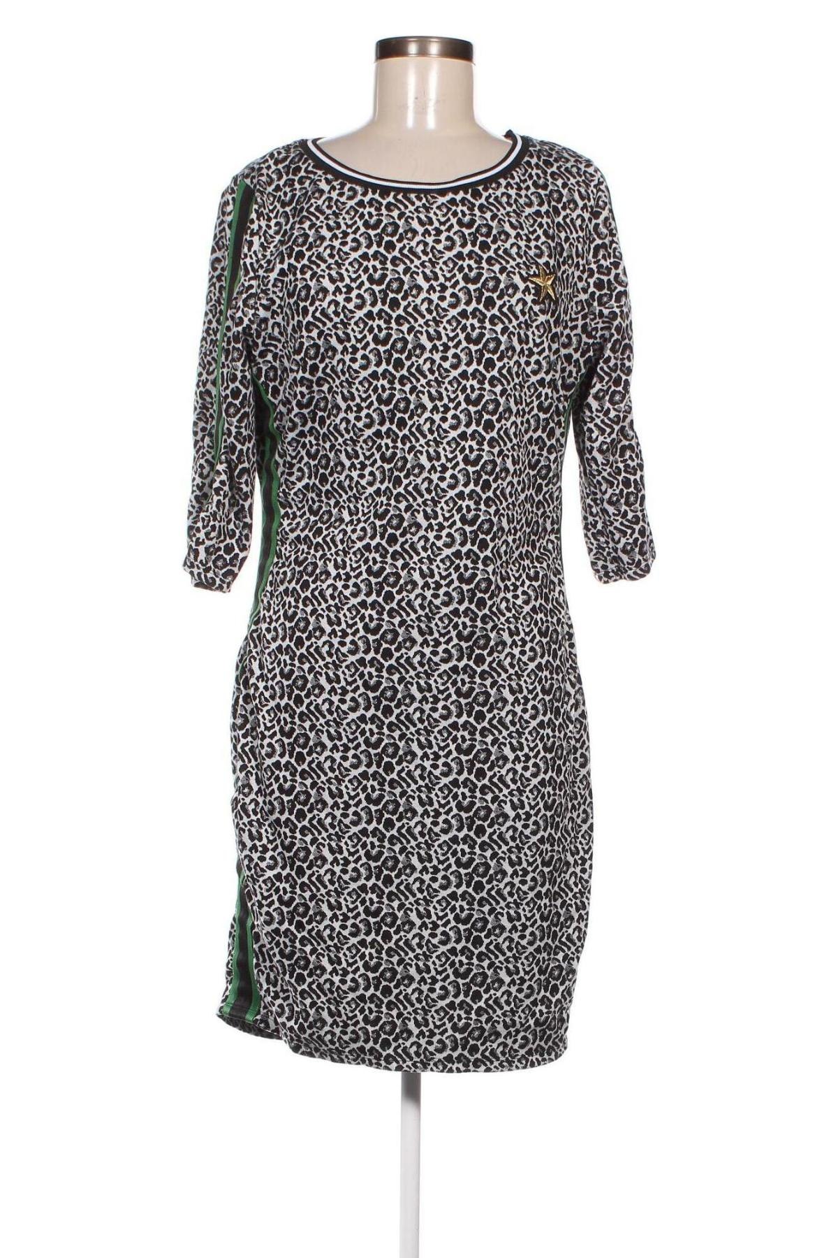 Φόρεμα, Μέγεθος XL, Χρώμα Πολύχρωμο, Τιμή 8,97 €