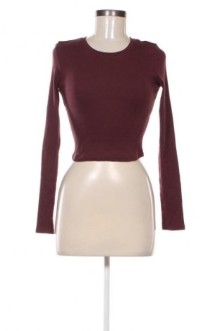 Damen Shirt About You, Größe S, Farbe Lila, Preis € 32,99