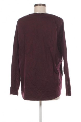 Damen Shirt Anko, Größe XXL, Farbe Lila, Preis € 5,99