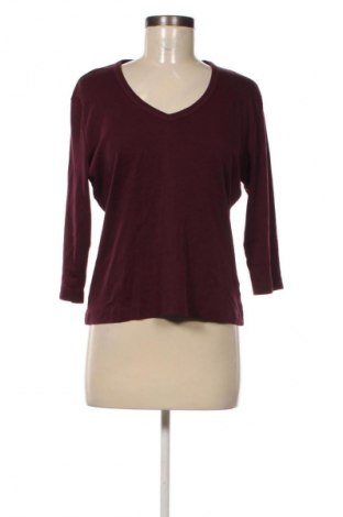 Damen Shirt Biaggini, Größe L, Farbe Lila, Preis € 13,99