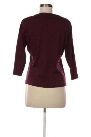 Damen Shirt Biaggini, Größe L, Farbe Lila, Preis € 13,99