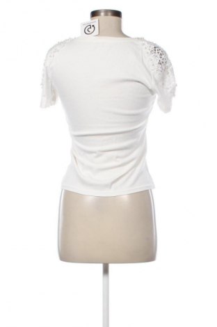 Damen Shirt Ebelieve, Größe M, Farbe Mehrfarbig, Preis € 9,72