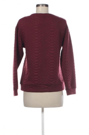 Damen Shirt Green Coast, Größe S, Farbe Rot, Preis € 13,99