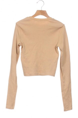 Damen Shirt Koton, Größe XS, Farbe Beige, Preis € 21,77