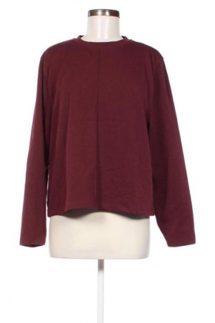 Damen Shirt Mango, Größe L, Farbe Rot, Preis 18,99 €