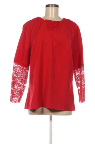 Damen Shirt Miss Posh, Größe XL, Farbe Rot, Preis € 18,08