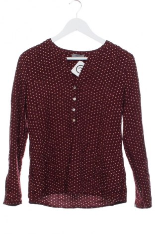Dámska blúza Montego, Veľkosť XS, Farba Viacfarebná, Cena  9,71 €