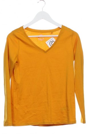Damen Shirt Next, Größe XS, Farbe Orange, Preis 17,36 €