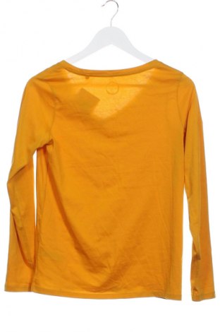 Damen Shirt Next, Größe XS, Farbe Orange, Preis 17,36 €