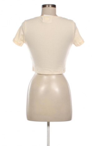Damen Shirt Padini Authentics, Größe M, Farbe Ecru, Preis 13,99 €