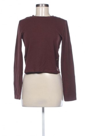 Damen Shirt Sinsay, Größe XL, Farbe Braun, Preis 10,00 €