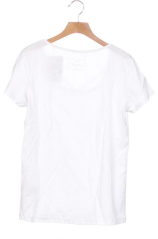 Damen Shirt Sinsay, Größe XS, Farbe Weiß, Preis 15,86 €