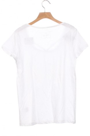 Damen Shirt Sinsay, Größe XS, Farbe Weiß, Preis 15,86 €