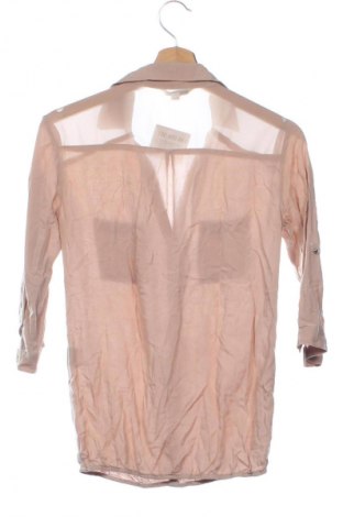 Damen Shirt Tally Weijl, Größe XS, Farbe Beige, Preis 9,72 €