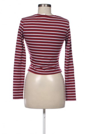 Damen Shirt Terranova, Größe M, Farbe Mehrfarbig, Preis € 9,72
