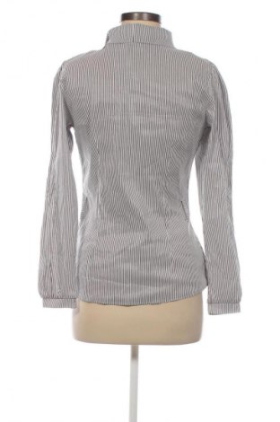 Damen Shirt Uz-Sa, Größe XL, Farbe Mehrfarbig, Preis 9,72 €