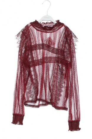 Damen Shirt Zara, Größe XS, Farbe Rot, Preis 14,00 €