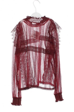 Damen Shirt Zara, Größe XS, Farbe Rot, Preis 14,00 €