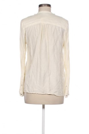 Damen Shirt Zara, Größe M, Farbe Ecru, Preis 13,82 €