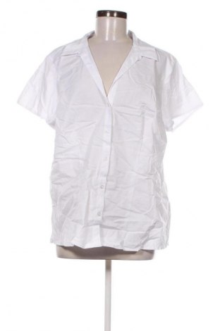 Damenbluse Anko, Größe 3XL, Farbe Weiß, Preis € 17,99