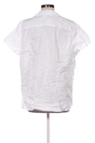 Damenbluse Anko, Größe 3XL, Farbe Weiß, Preis € 17,99