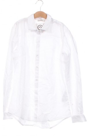 Damenbluse Jdy, Größe XS, Farbe Weiß, Preis € 27,99