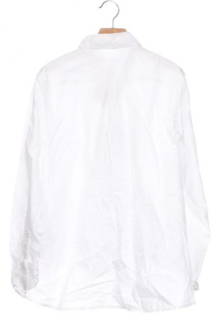Damska koszula Knowledge Cotton Apparel, Rozmiar XS, Kolor Biały, Cena 285,06 zł