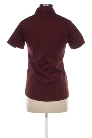 Damenbluse Rodrigo, Größe S, Farbe Rot, Preis € 23,99