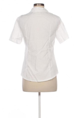 Damenbluse SHEIN, Größe S, Farbe Weiß, Preis 17,99 €