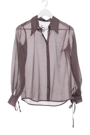 Damenbluse Sinsay, Größe XS, Farbe Aschrosa, Preis € 12,77