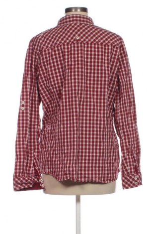 Damenbluse Soccx, Größe XXL, Farbe Mehrfarbig, Preis € 38,99