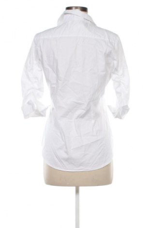 Damenbluse Steffen Schraut, Größe M, Farbe Weiß, Preis 56,99 €