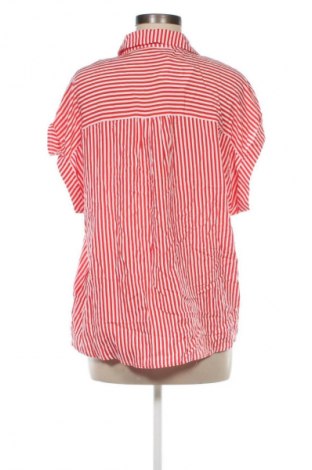 Damenbluse Tom Tailor, Größe L, Farbe Mehrfarbig, Preis € 23,99