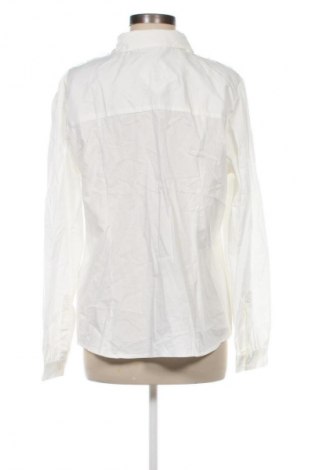 Damenbluse Unbranded, Größe XXL, Farbe Ecru, Preis 7,99 €