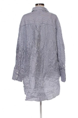 Damenbluse Zara, Größe XL, Farbe Mehrfarbig, Preis 18,99 €