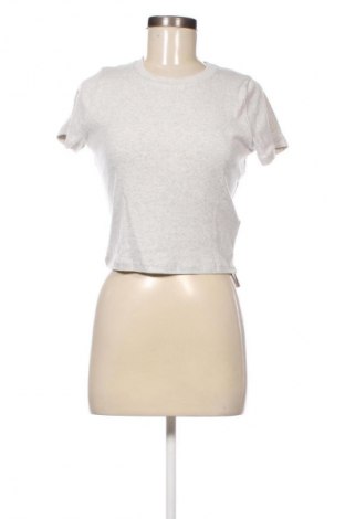 Damen T-Shirt Hollister, Größe M, Farbe Grau, Preis € 28,99