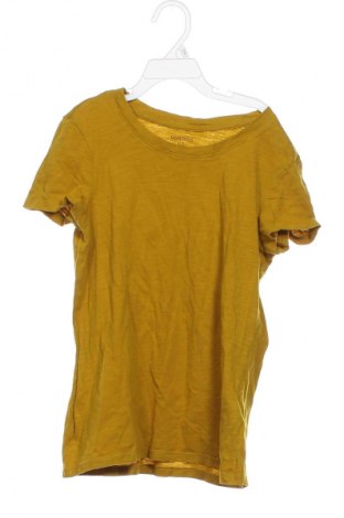 Damski T-shirt Montego, Rozmiar XS, Kolor Żółty, Cena 38,60 zł