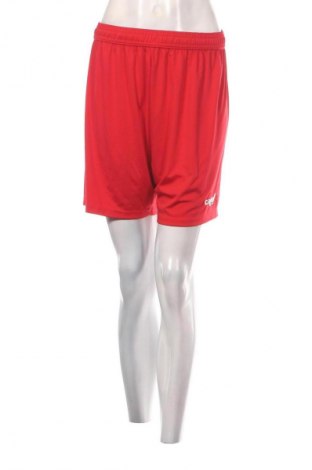 Damen Shorts Capelli, Größe M, Farbe Rot, Preis € 13,99